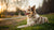 How Many Calories Does a Dog Need to Lose Weight? A Comprehensive Guide