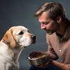 How Many Calories Should a 100 lb Dog Eat? A Comprehensive Guide for Pet Parents