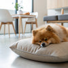 How Many Calories Should a 30 lb Dog Eat? A Practical Guide for Healthy Feeding