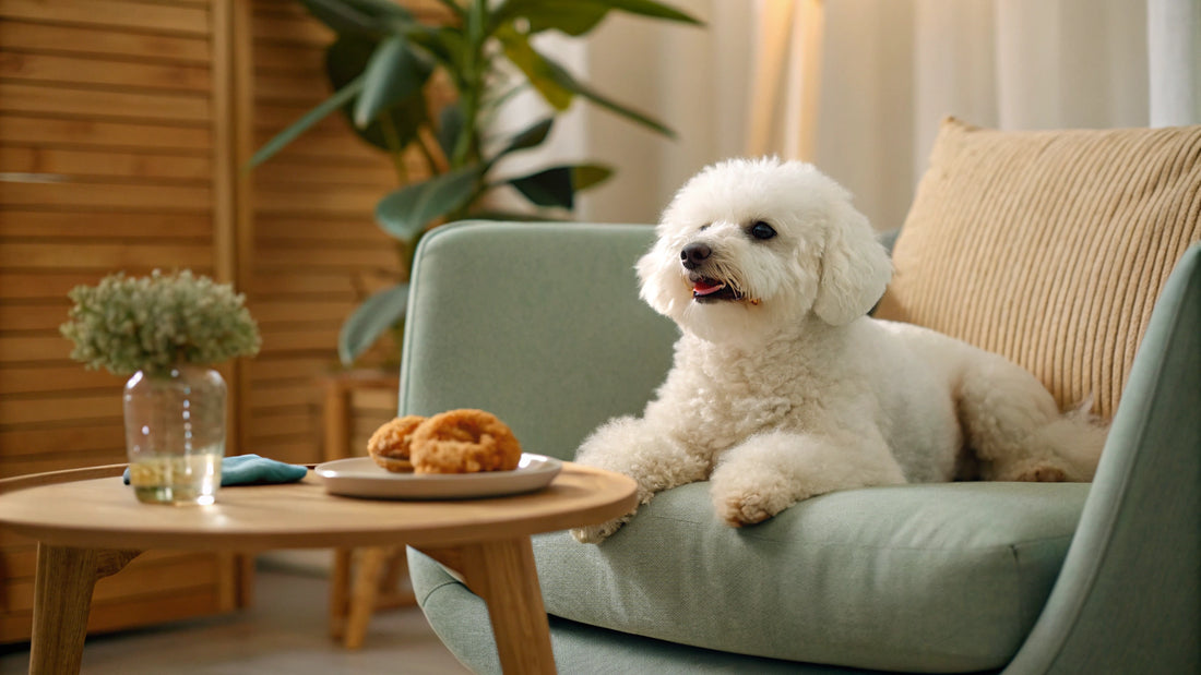 How Many Calories Should a 40 lb Dog Eat? A Thoughtful Guide to Feeding Your Furry Friend Right