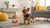 How Many Cans of Dog Food Per Day? A Complete Guide for Pet Owners