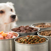 How Many Cans of Wet Dog Food Per Day: A Comprehensive Guide for Pet Owners