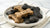 How Many Charcoal Biscuits for Dogs: A Complete Guide for Pet Owners-141106774255