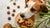 How Many Chocolate Chip Cookies Can a Dog Eat Safely?