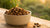 How Many Cups in 25 Pounds of Dry Dog Food? A Comprehensive Guide for Pet Owners