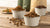 How Many Cups in 30 lbs of Dry Dog Food: A Comprehensive Guide for Pet Owners