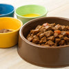 How Many Cups in a Pound of Wet Dog Food? Understanding the Measurements for Your Pup's Diet