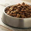 How Many Cups of Food Should a 75lb Dog Eat?