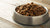 How Many Cups of Food Should a 75 lb Dog Eat? A Comprehensive Guide