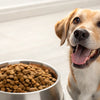 How Many Cups of Kibble for a Dog: A Comprehensive Guide to Feeding Your Furry Friend