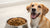 How Many Cups of Kibble for a Dog: A Comprehensive Guide to Feeding Your Furry Friend