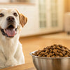 How Many Cups of Kibble for Your Dog: A Complete Guide to Feeding Your Furry Friend