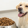 How Many Cups of Kibble Should I Feed My Dog? A Comprehensive Guide for Pet Owners