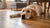 How Many Days Can a Dog Go Without Eating Food?