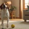 How Many Dog Training Treats Per Day Should You Give Your Pup?