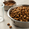 How Many Grams in a Cup of Dog Kibble? Understanding Your Dog's Feeding Needs
