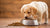 How Many Grams of Dog Food Per Day Puppy: A Comprehensive Feeding Guide
