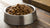 How Many Grams of Food Should My Dog Eat? A Comprehensive Guide for Responsible Pet Owners-140403802351