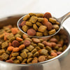 How Many Grams of Protein in Dog Food: A Comprehensive Guide for Pet Parents