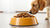 How Many Grams of Wet Food to Feed a Dog: A Comprehensive Guide for Pet Owners