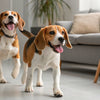 How Many Grapes Can a Dog Eat? Understanding Grape Toxicity for Dogs