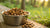 How Many Kg of Food Should a Dog Eat? A Comprehensive Guide for Pet Owners-140301074671
