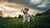How Many Months Before a Puppy Can Eat Dog Food: A Comprehensive Guide for Pet Parents