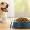 How Many Ounces of Dog Food Per Day by Weight: A Comprehensive Guide for Pet Owners