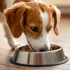 How Many Ounces of Food Should a Dog Eat? A Comprehensive Guide for Pet Parents