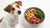 How Many Ounces of Raw Food to Feed Your Dog: A Comprehensive Guide
