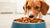 How Many Ounces of Wet Dog Food Per Day: A Comprehensive Guide for Dog Owners