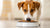 How Many Pounds of Food Do Dogs Eat: An In-Depth Guide for Pet Owners-140301172975
