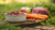 How Many Pounds of Raw Dog Food to Feed: A Comprehensive Guide for Dog Owners