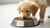 How Many Weeks Can a Puppy Eat Dog Food? A Comprehensive Guide to Puppy Nutrition