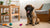 How Much Broccoli Can Dogs Eat? A Practical Guide for Loving Pet Owners