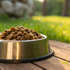How Much Can Dog Food Per Day: A Comprehensive Guide for Dog Owners