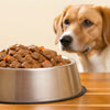 How Much Canned Dog Food for a 15 lb Dog: A Comprehensive Guide for Pet Owners