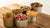 How Much Canned Dog Food Should You Feed a 25 lb Dog? A Comprehensive Guide-140858458351