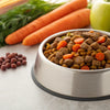 How Much Carbs Should Be in Dog Food? A Comprehensive Guide to Canine Nutrition