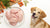 How Much Chicken to Feed a Dog by Weight: A Comprehensive Guide for Pet Owners