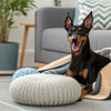 How Much Chicken to Feed Dog: Guidelines for a Balanced and Healthy Diet