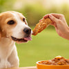 How Much Chicken to Feed Dog by Weight: A Comprehensive Guide for Pet Owners
