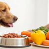 How Much Do I Feed My Dog Raw Food? A Comprehensive Guide for Dog Owners