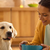 How Much Do You Feed a Dog by Weight? A Comprehensive Guide for Pet Owners
