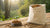 How Much Does a Big Bag of Dog Food Cost? Understanding Your Options and Budgeting for Pet Nutrition