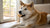 How Much Does Fresh Dog Food Cost? A Comprehensive Guide for Pet Owners