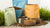 How Much Dog Food by Weight: A Comprehensive Guide for Pet Owners