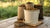 How Much Dog Food Does a 5 Gallon Bucket Hold? Understanding the Capacity and Feeding Needs-140854231279