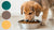 How Much Dog Food Does a Puppy Need? A Comprehensive Guide