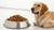 How Much Dog Food for a 10 lb Dog: A Comprehensive Guide to Optimal Feeding-140859212015
